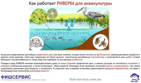 Удобрение для прудов РИВЕРМ (аквакультура) 2